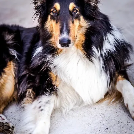 - La Di Cesar فندق مبيت وإفطار